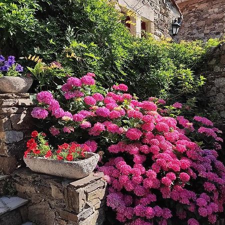 Le Mas De Ribard Breau-et-Salagosse Bagian luar foto