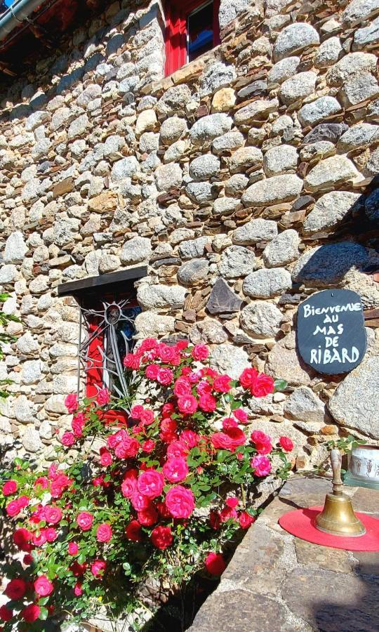 Le Mas De Ribard Breau-et-Salagosse Bagian luar foto