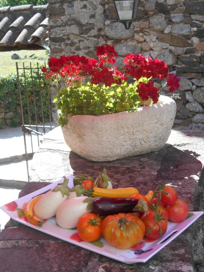 Le Mas De Ribard Breau-et-Salagosse Bagian luar foto