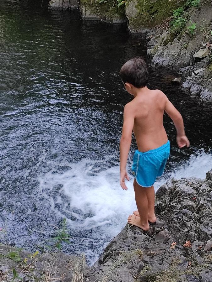 Le Mas De Ribard Breau-et-Salagosse Bagian luar foto